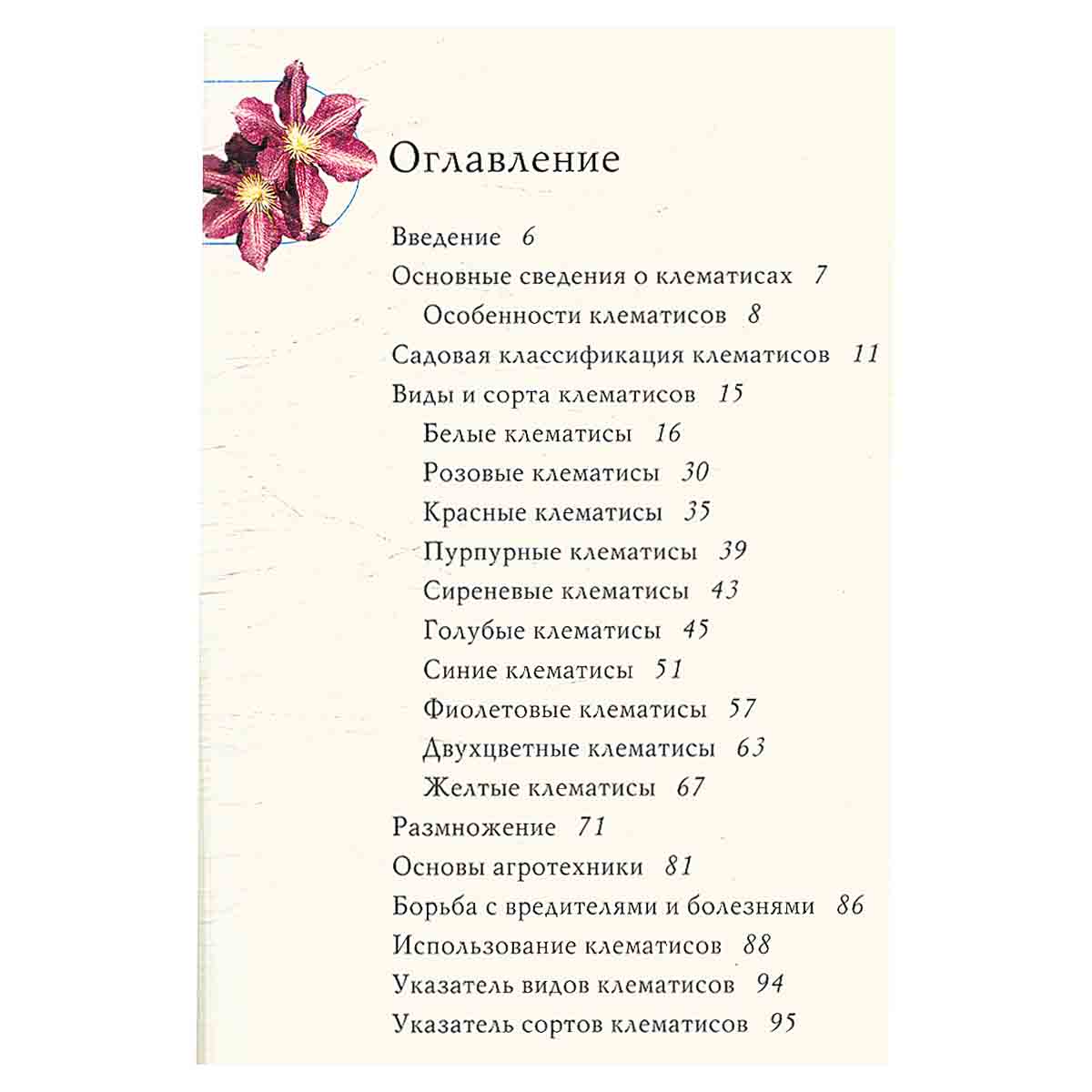 Клематисы