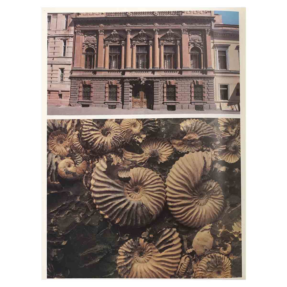 В. И. Вернадский. Фотоальбом