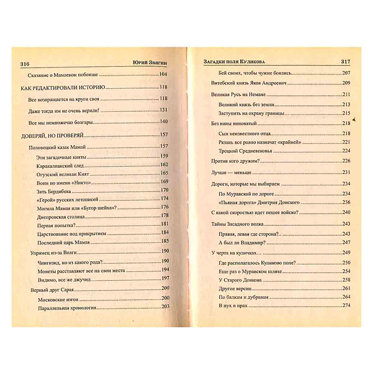 изображение книги Загадки поля Куликова