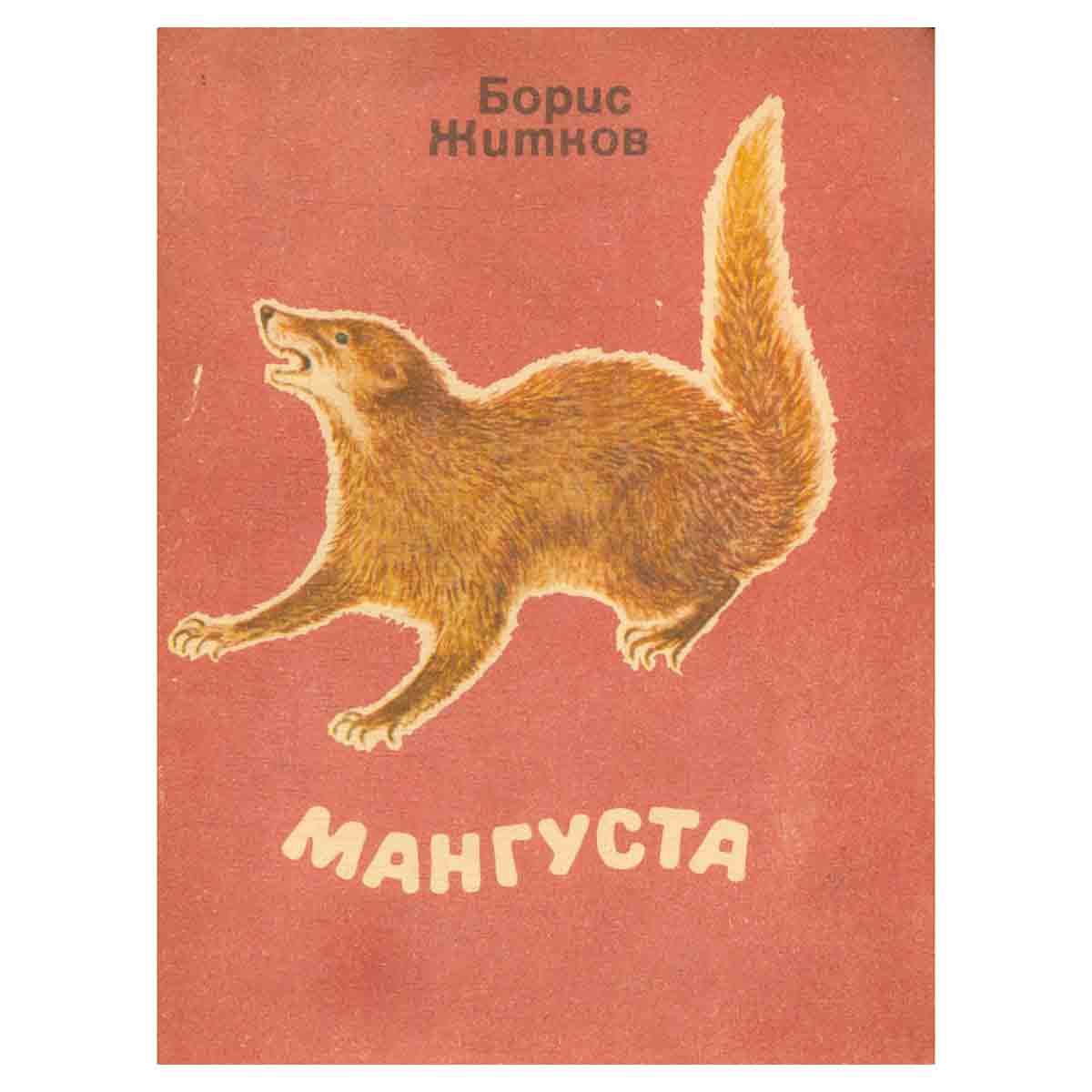 Мангуста