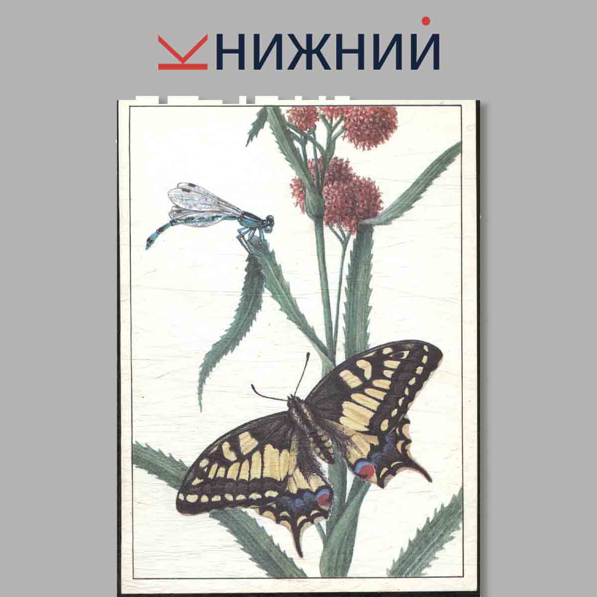 Набор открыток. Их нужно спасти. Красная книга СССР. Выпуск 4.