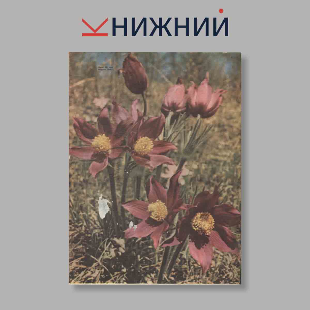 Журнал Охота и охотничье хозяйство. Выпуск № 5, 1970