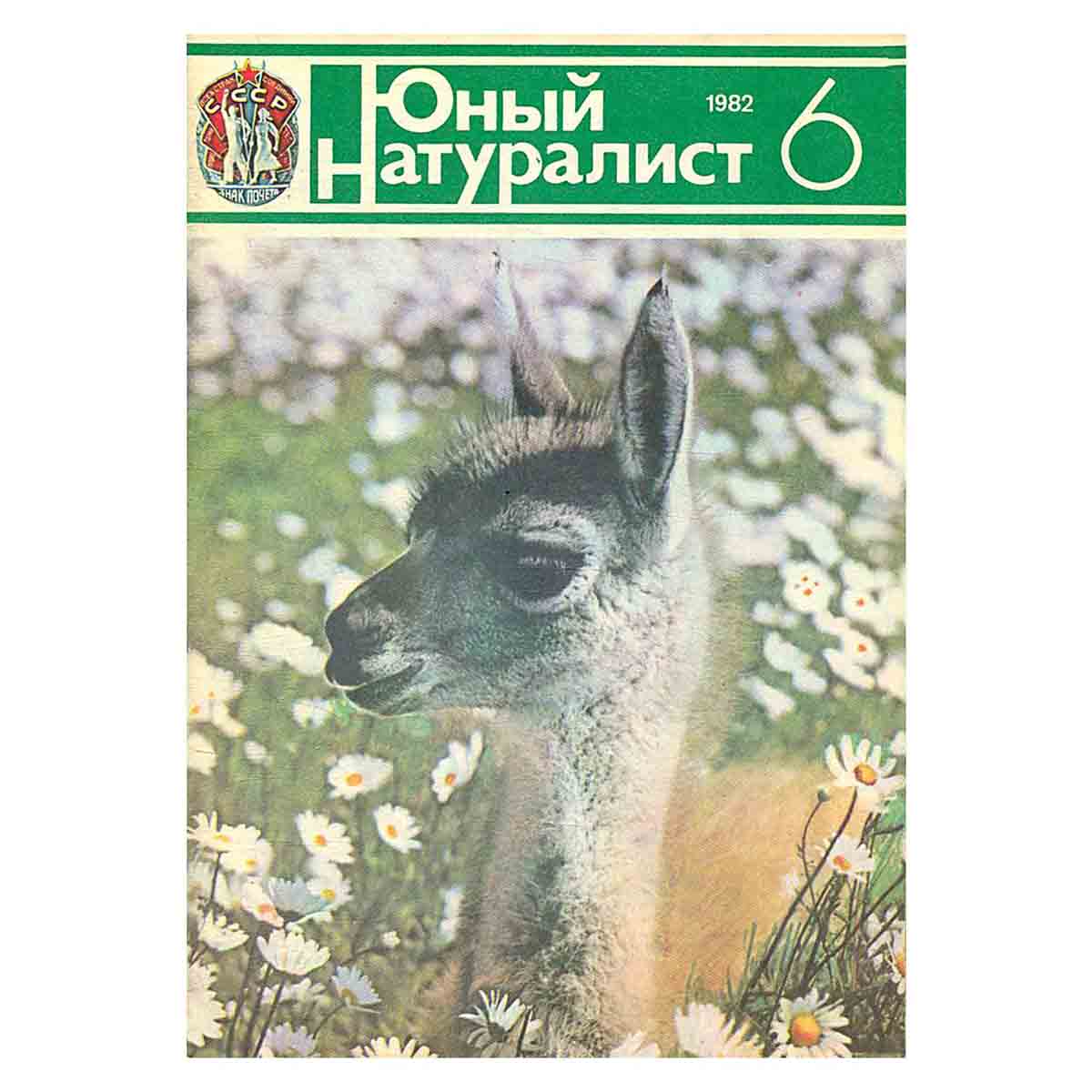 Журнал "Юный натуралист". Выпуск 6 1982 год