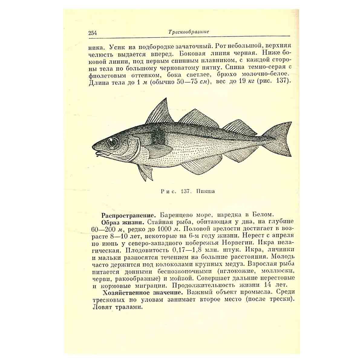 Рыбы СССР