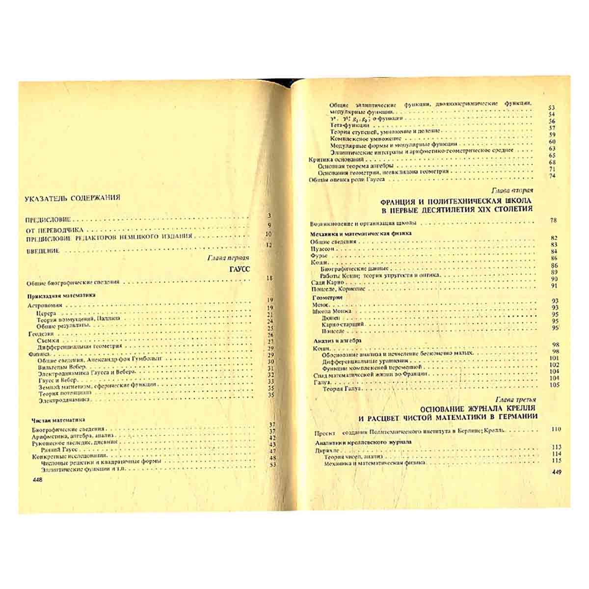 Лекции о развитии математики в XIX столетии. Том 1