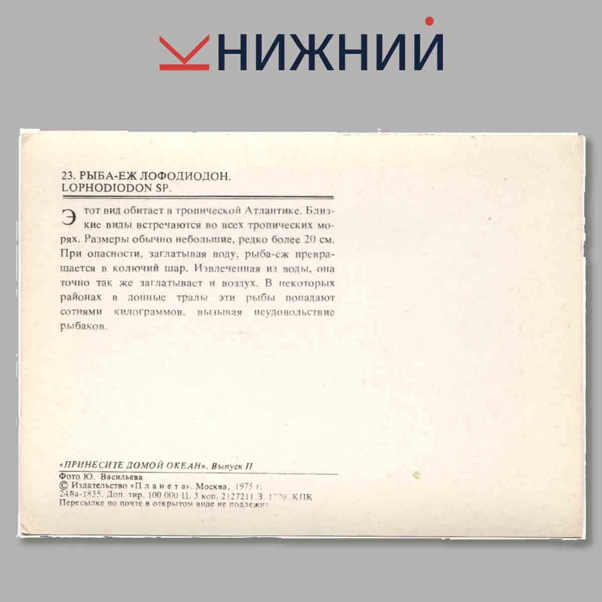 Набор открыток. Экскурсия в природу. Принеси домой океан.