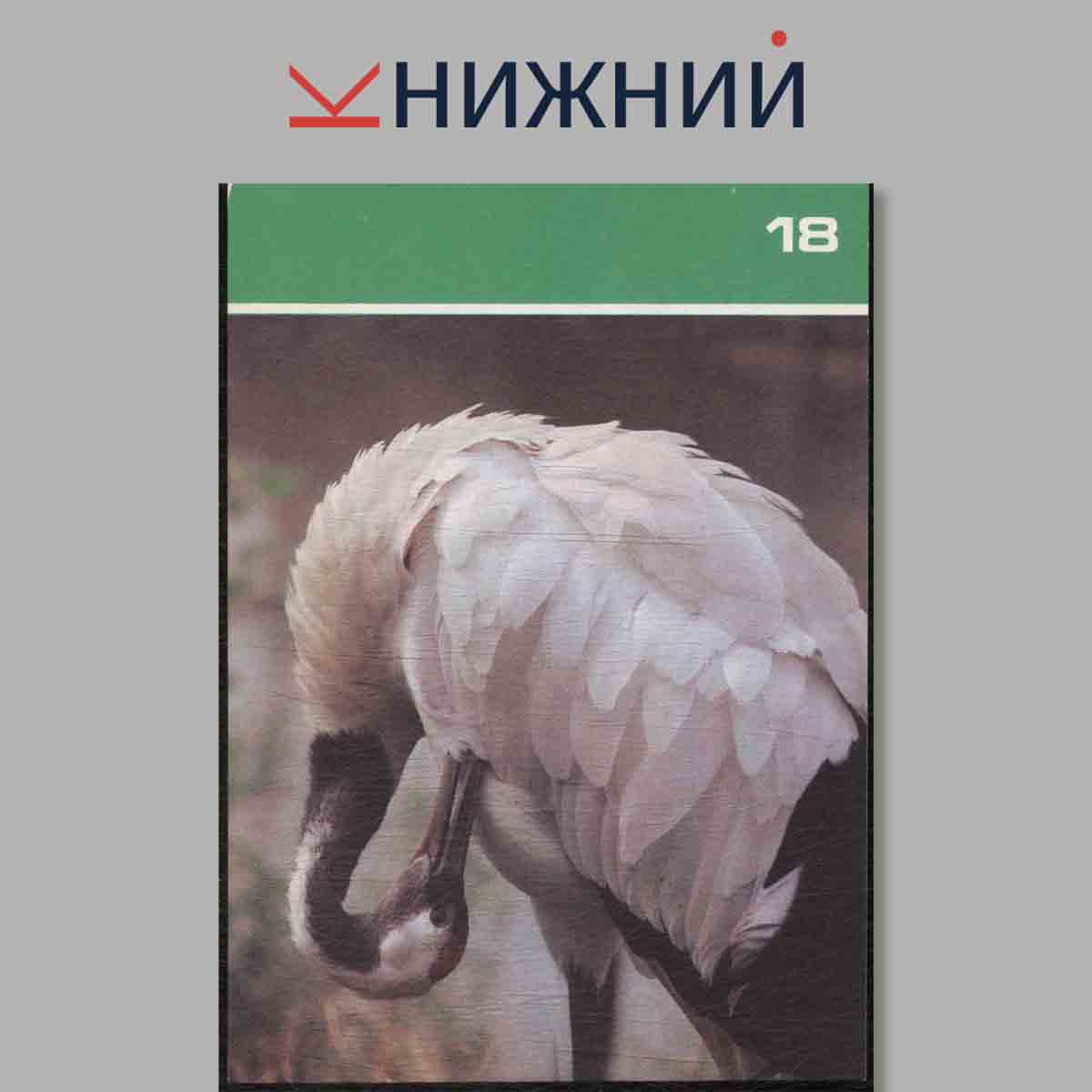 Набор открыток. Птицы Московского зоопарка.