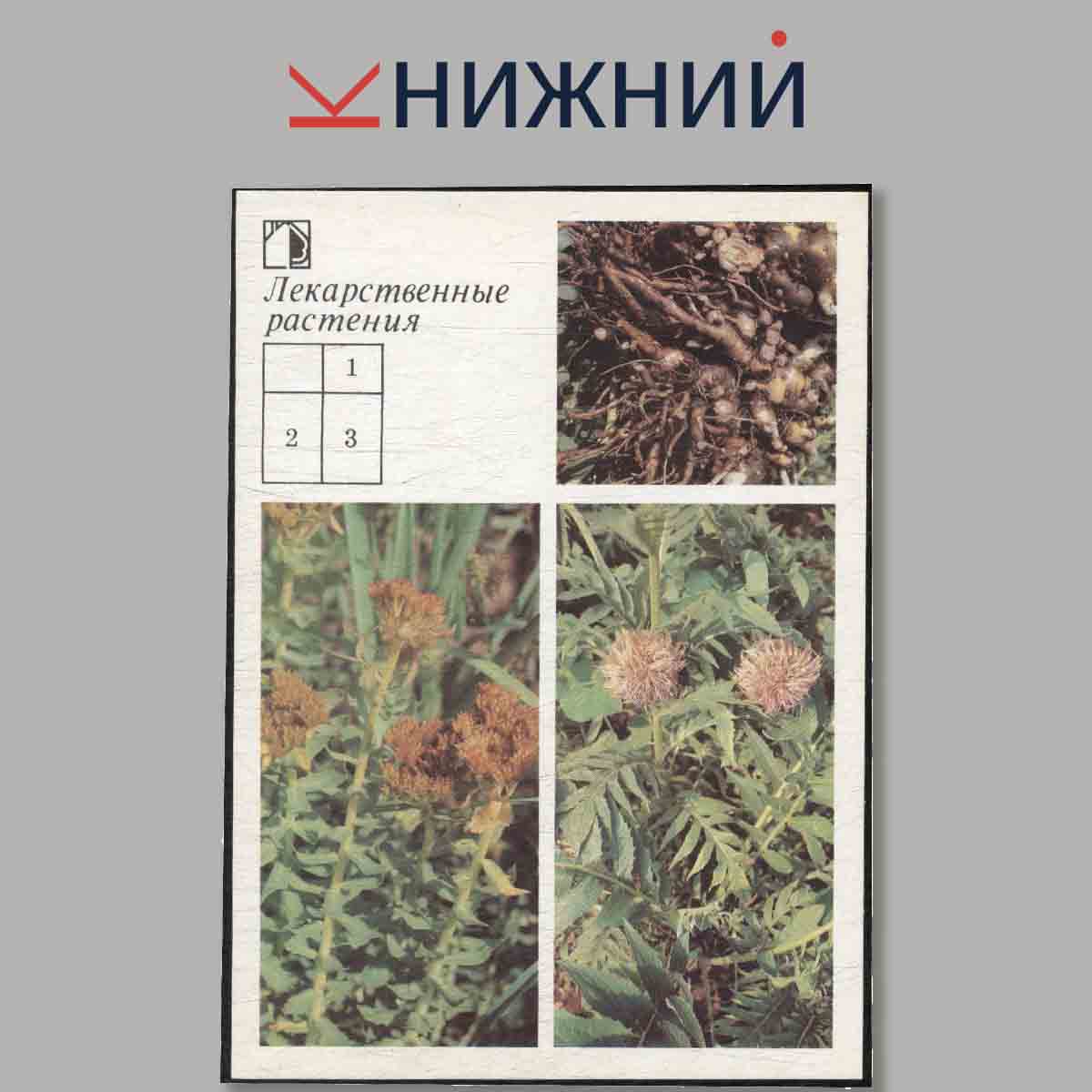Набор открыток. Ваш приусадебный участок. Лекарственные растения. Выпуск 4.