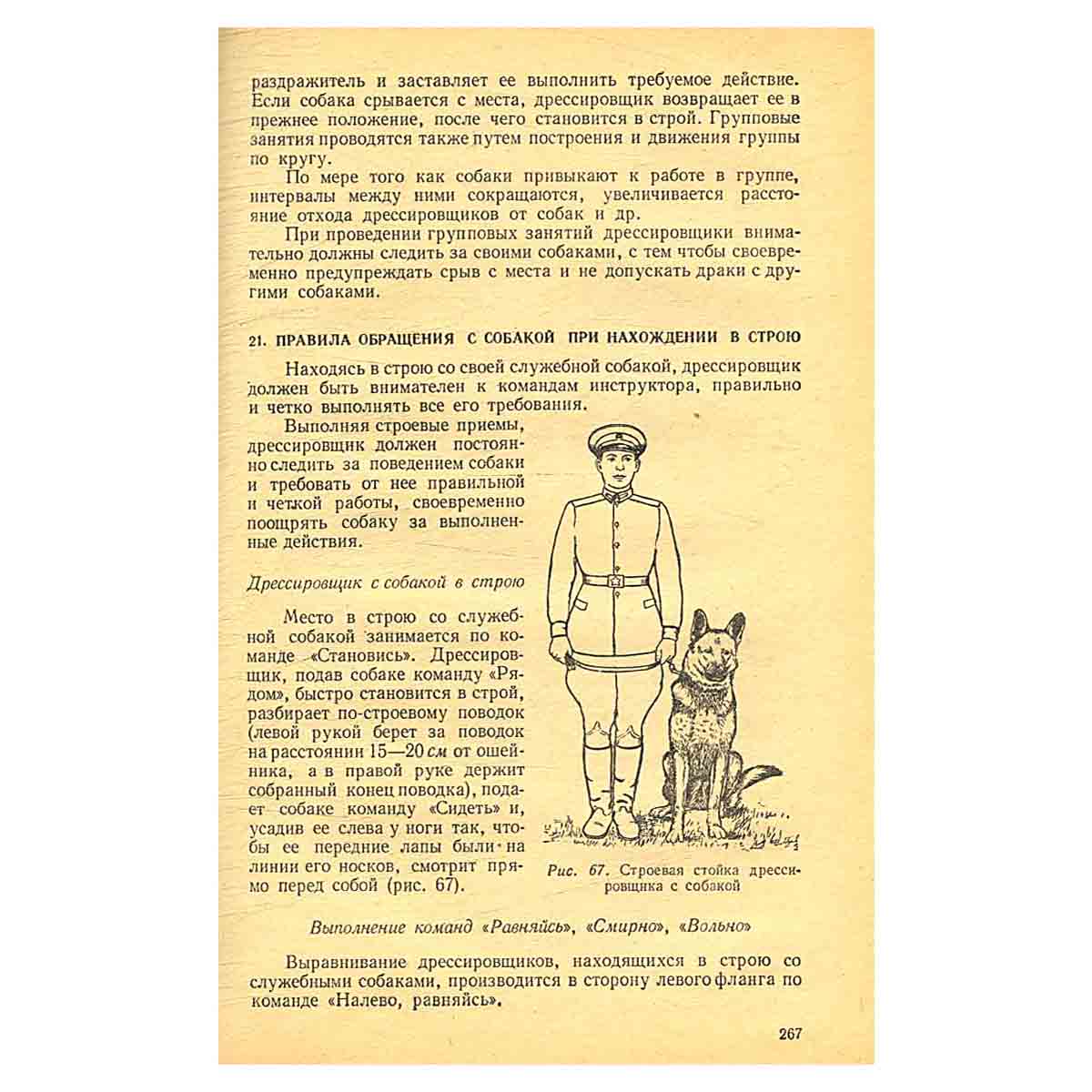 Служебная собака