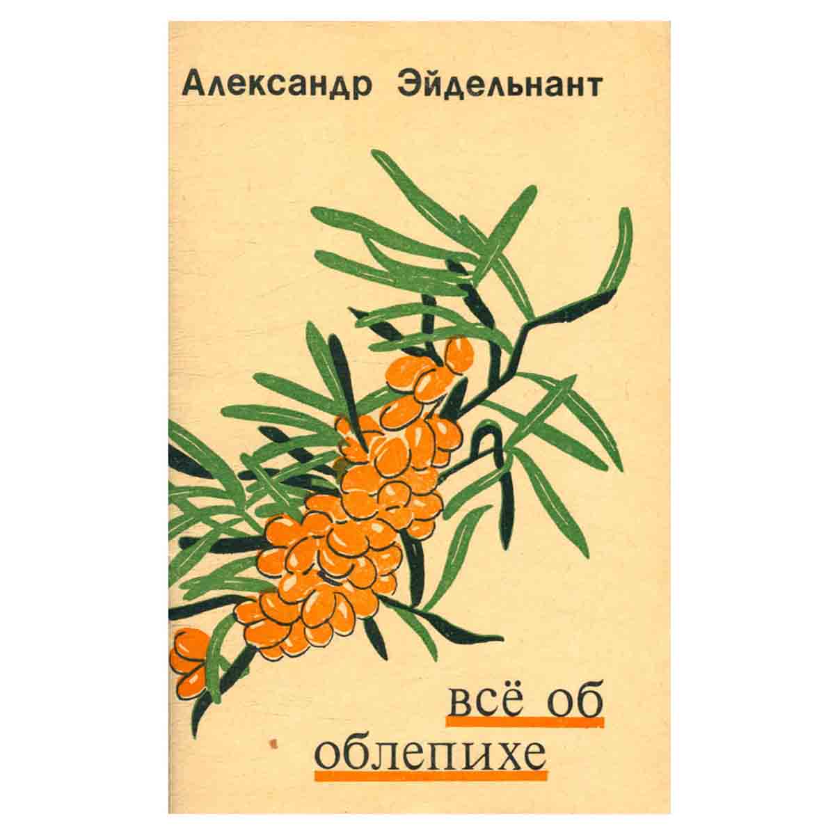 Все об облепихе