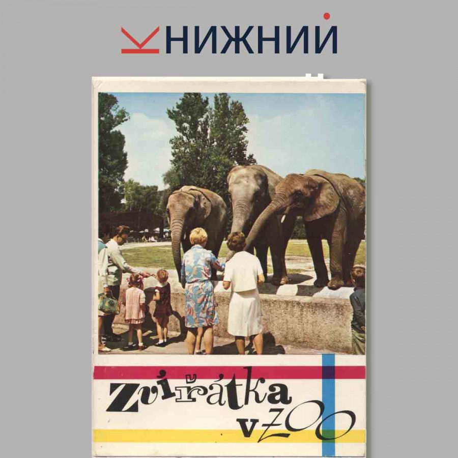 Набор открыток. Zuiratka v zoo.
