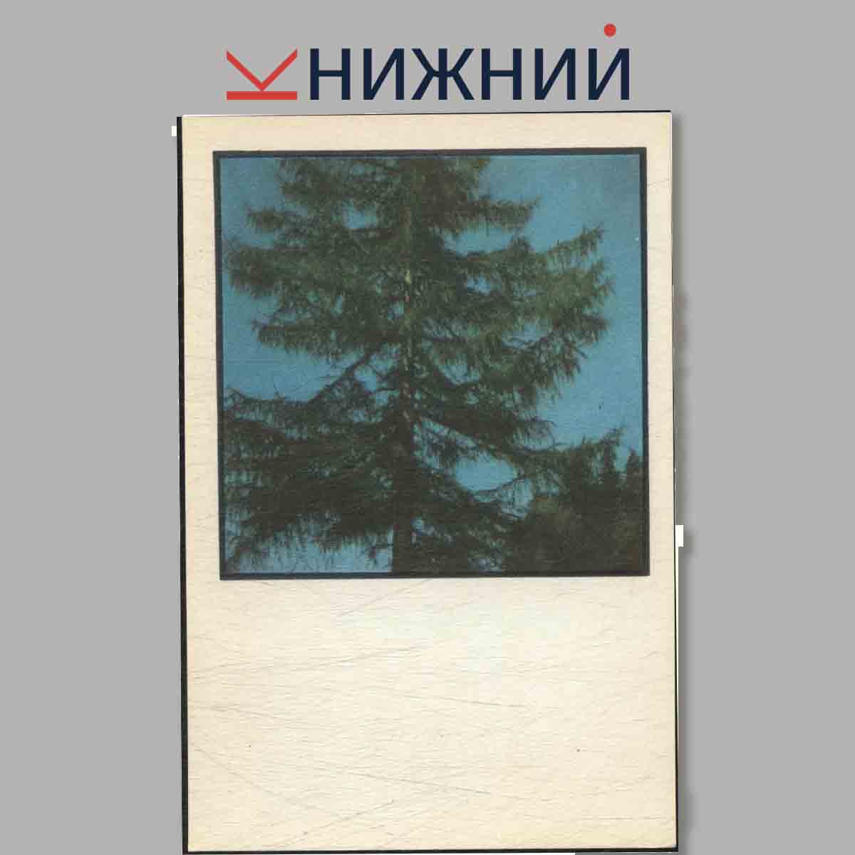 Набор открыток. Памятники природы Литвы. Lietuvos gamtos paminklai.