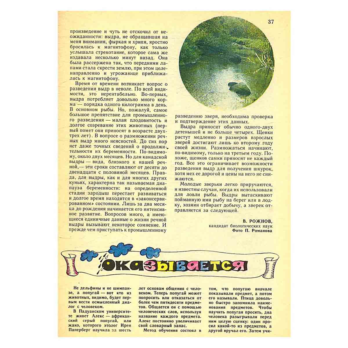 Журнал "Юный натуралист". Выпуск 10/ 1988 год