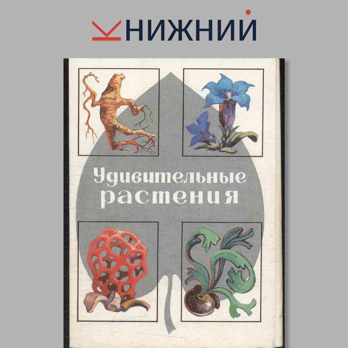 Набор открыток. Удивительные растения.