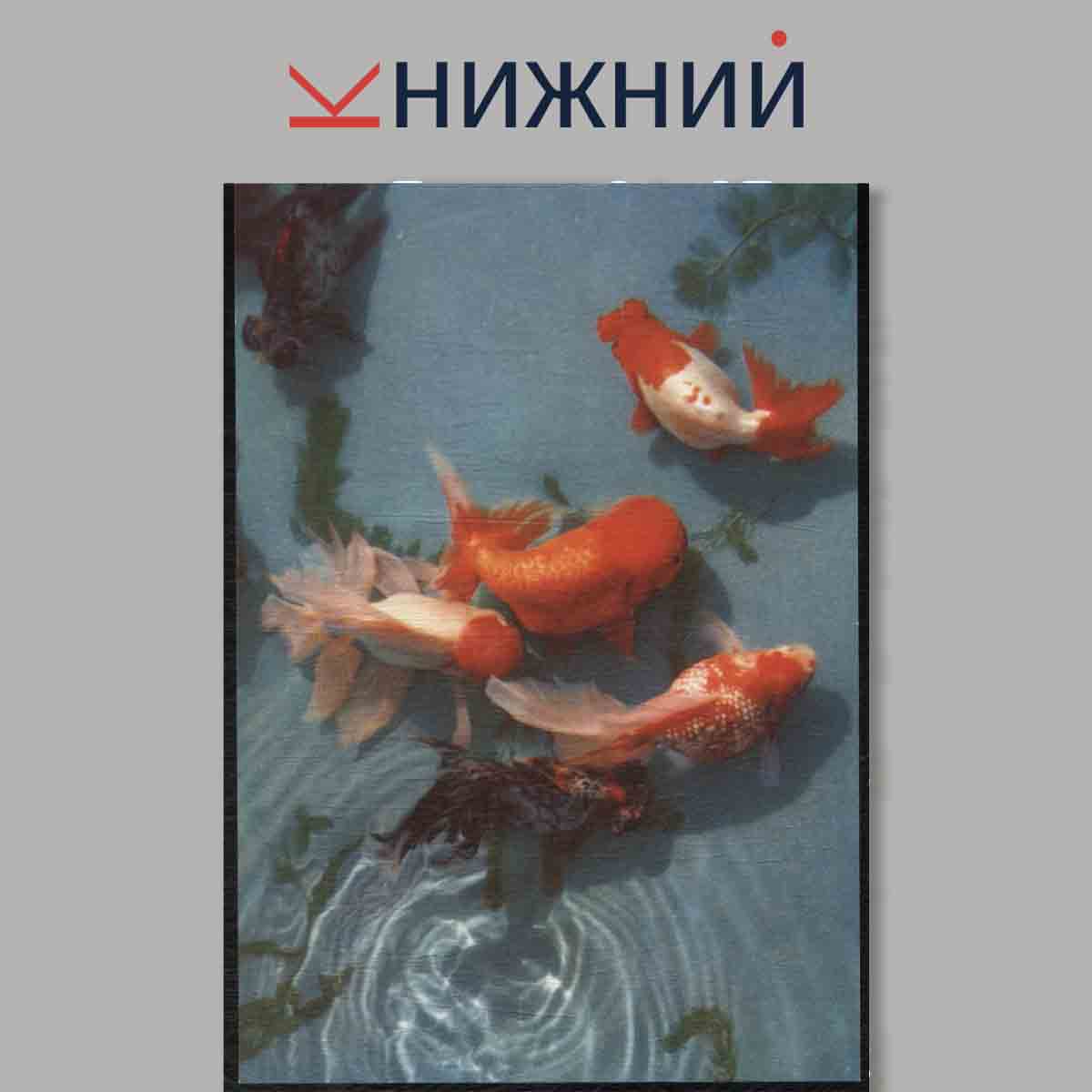 Набор открыток. Золотая рыбка.