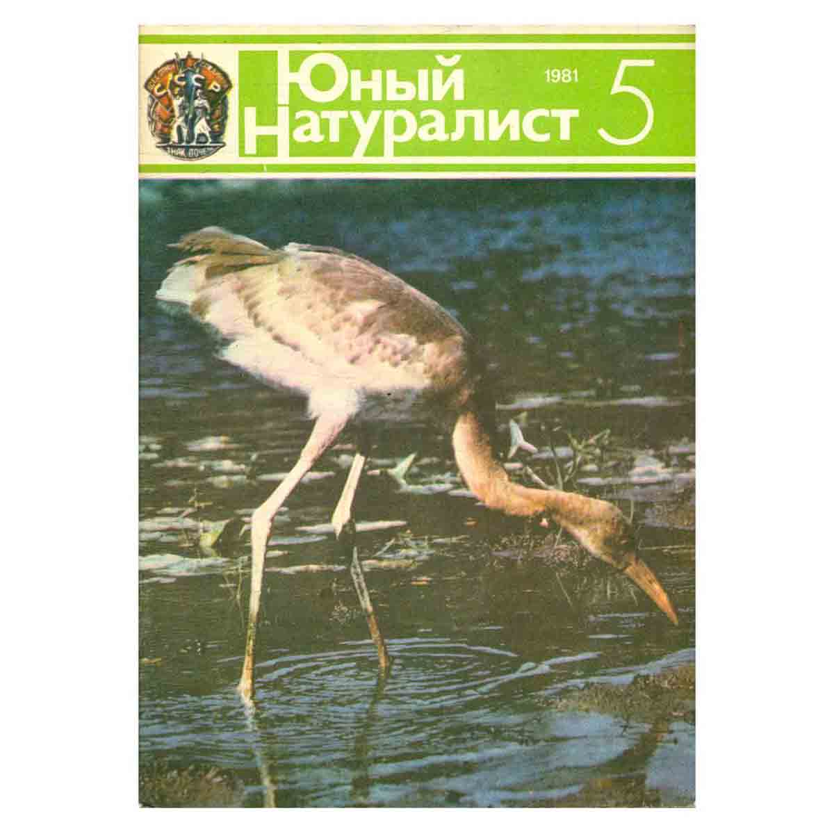 Журнал "Юный натуралист". Выпуск 5 1981 год