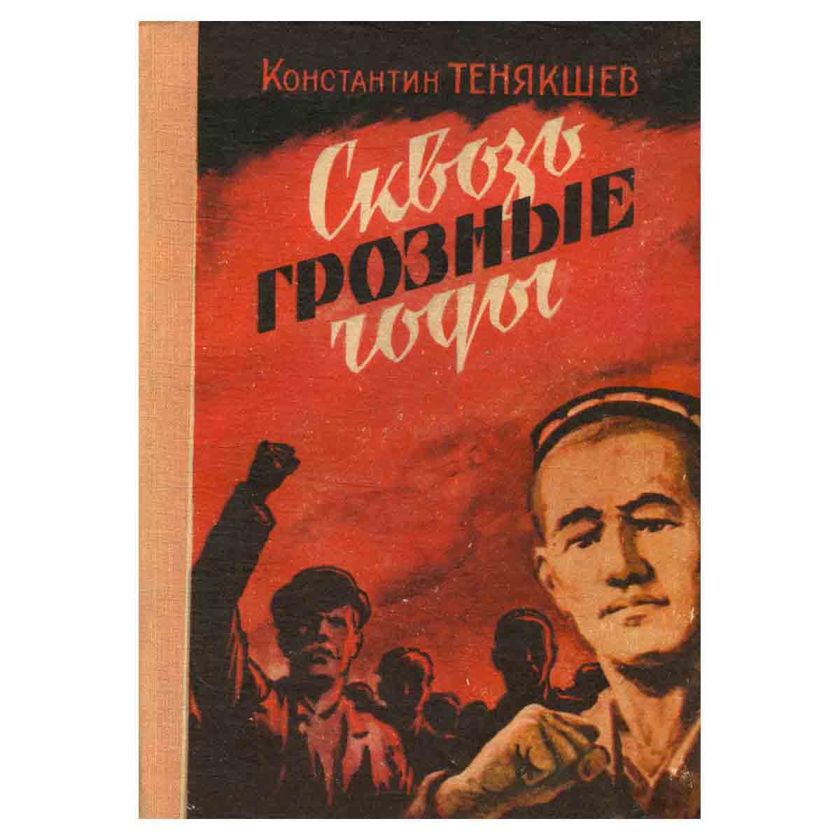 Сквозь грозные годы. Книга 1