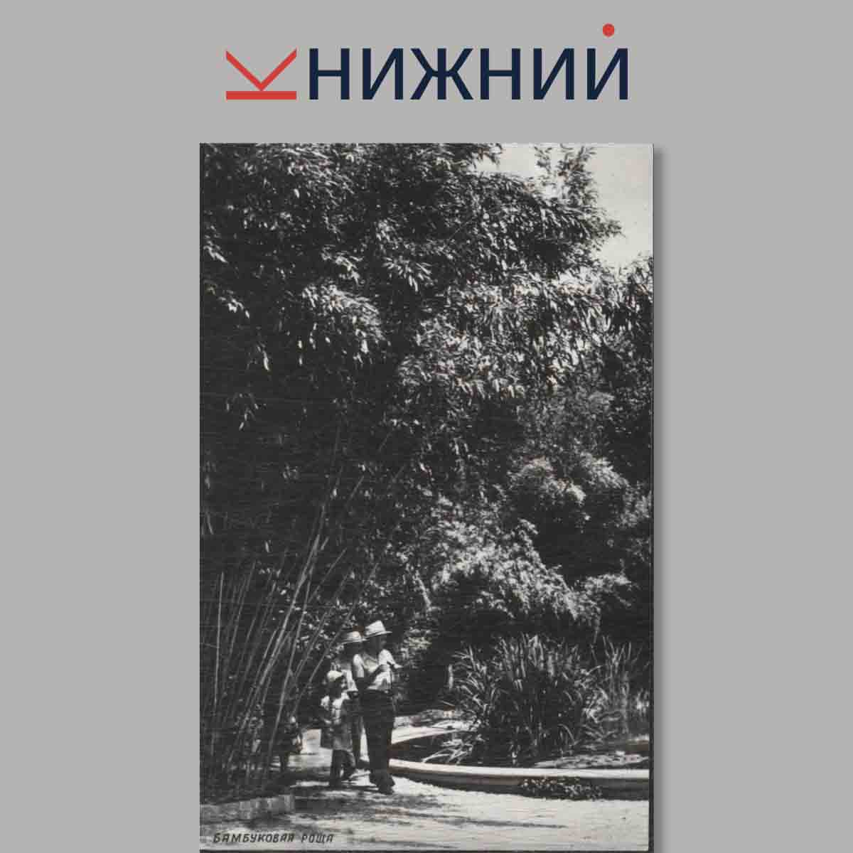 Набор открыток. Никитский Ботанический сад.
