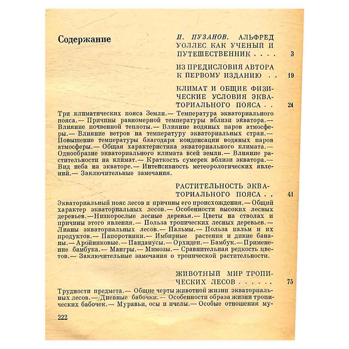 Тропическая природа