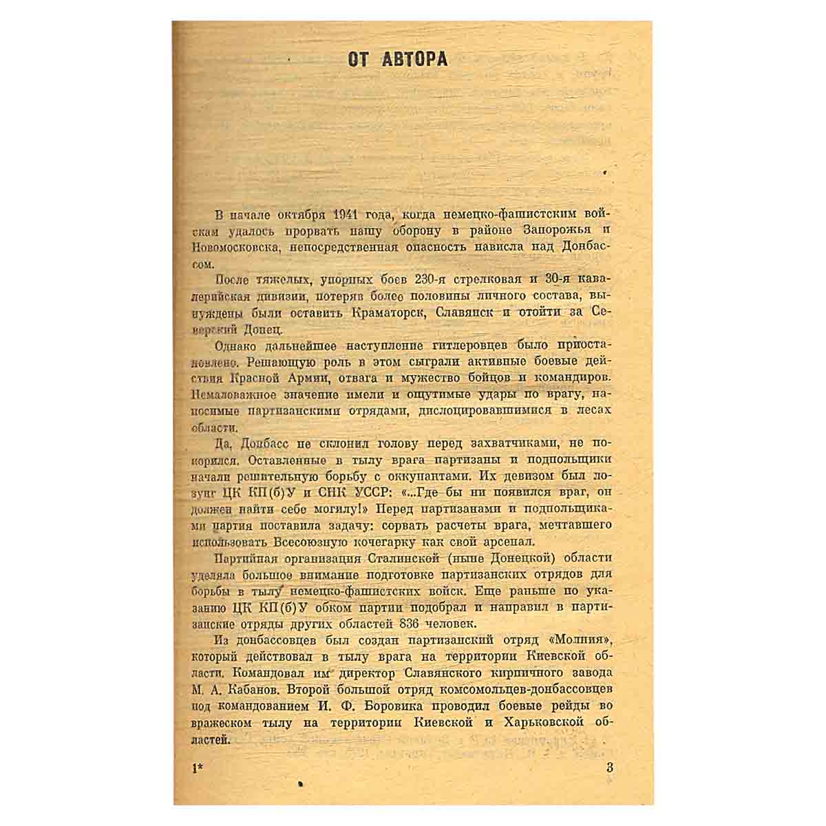 Донецкие мстители