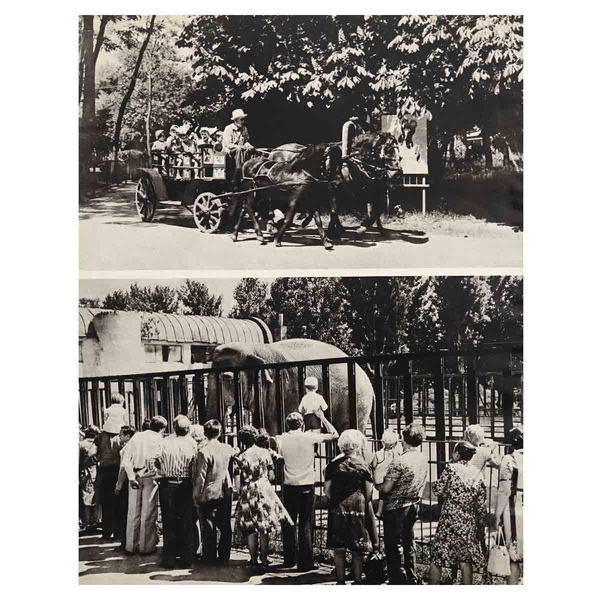 Харкiвщина / Харьковщина. Фотоальбом