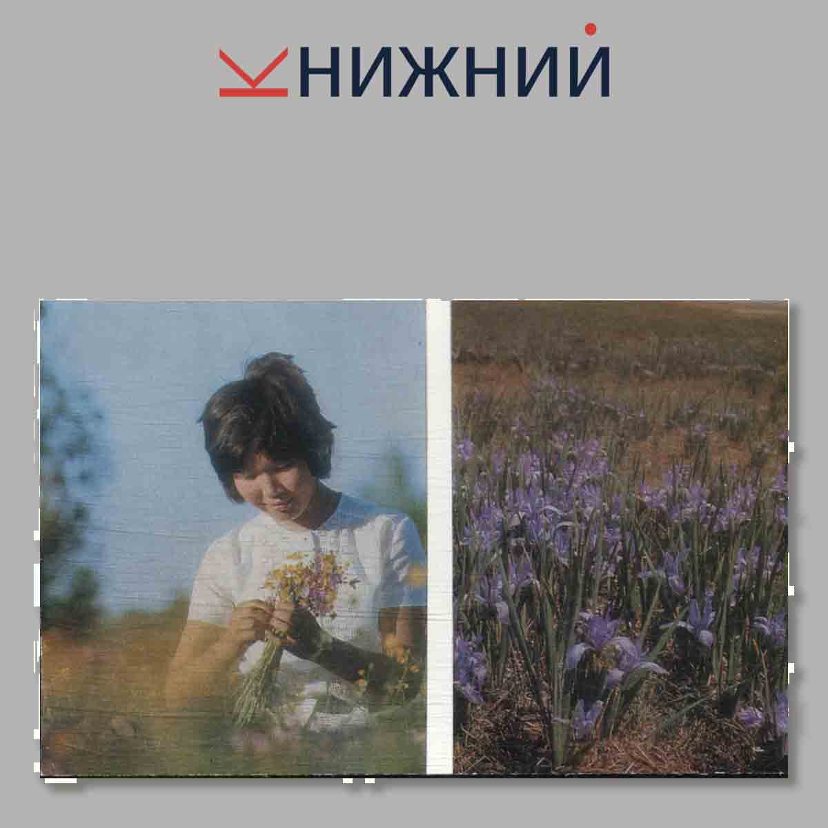 Набор открыток. Агинский Бурятский национальный округ.