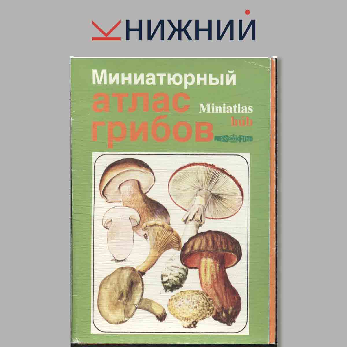 Набор открыток. Миниатюрный атлас грибов.