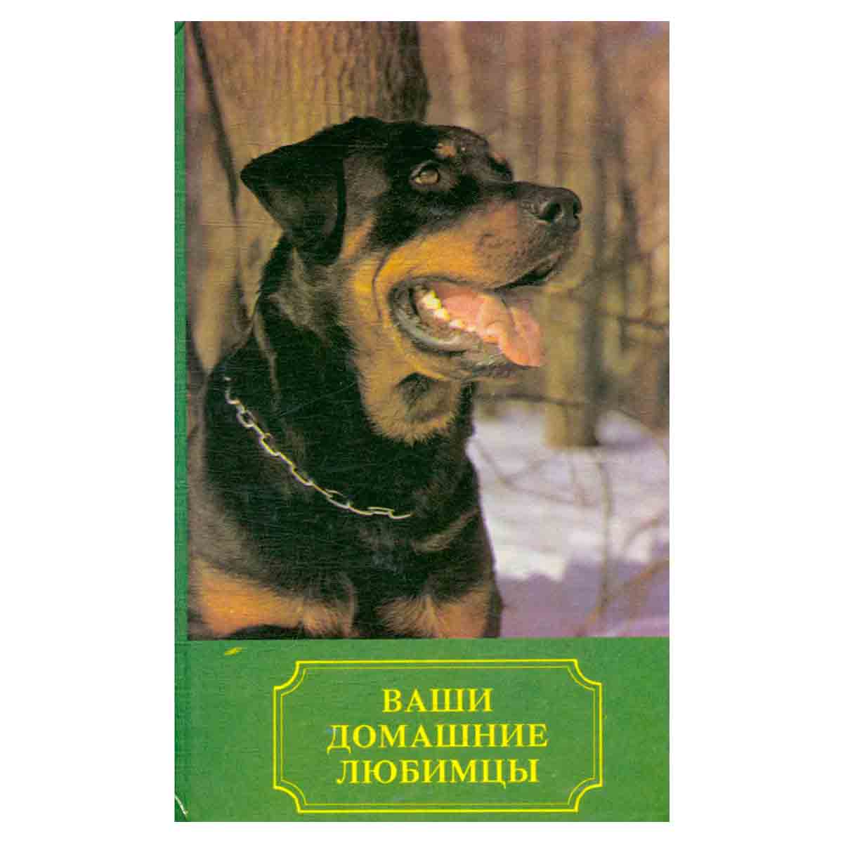 Ваши домашние любимцы