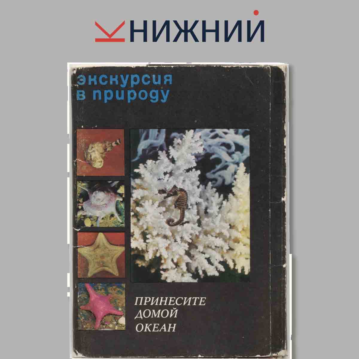 Набор открыток. Экскурсия в природу. Принеси домой океан.