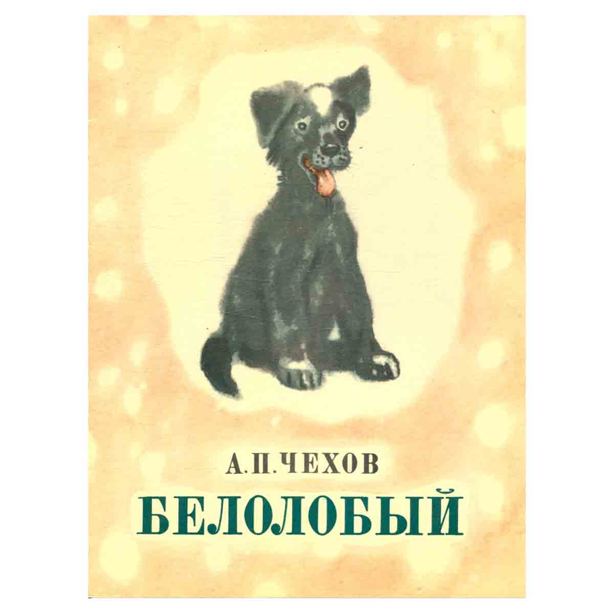 Белолобый