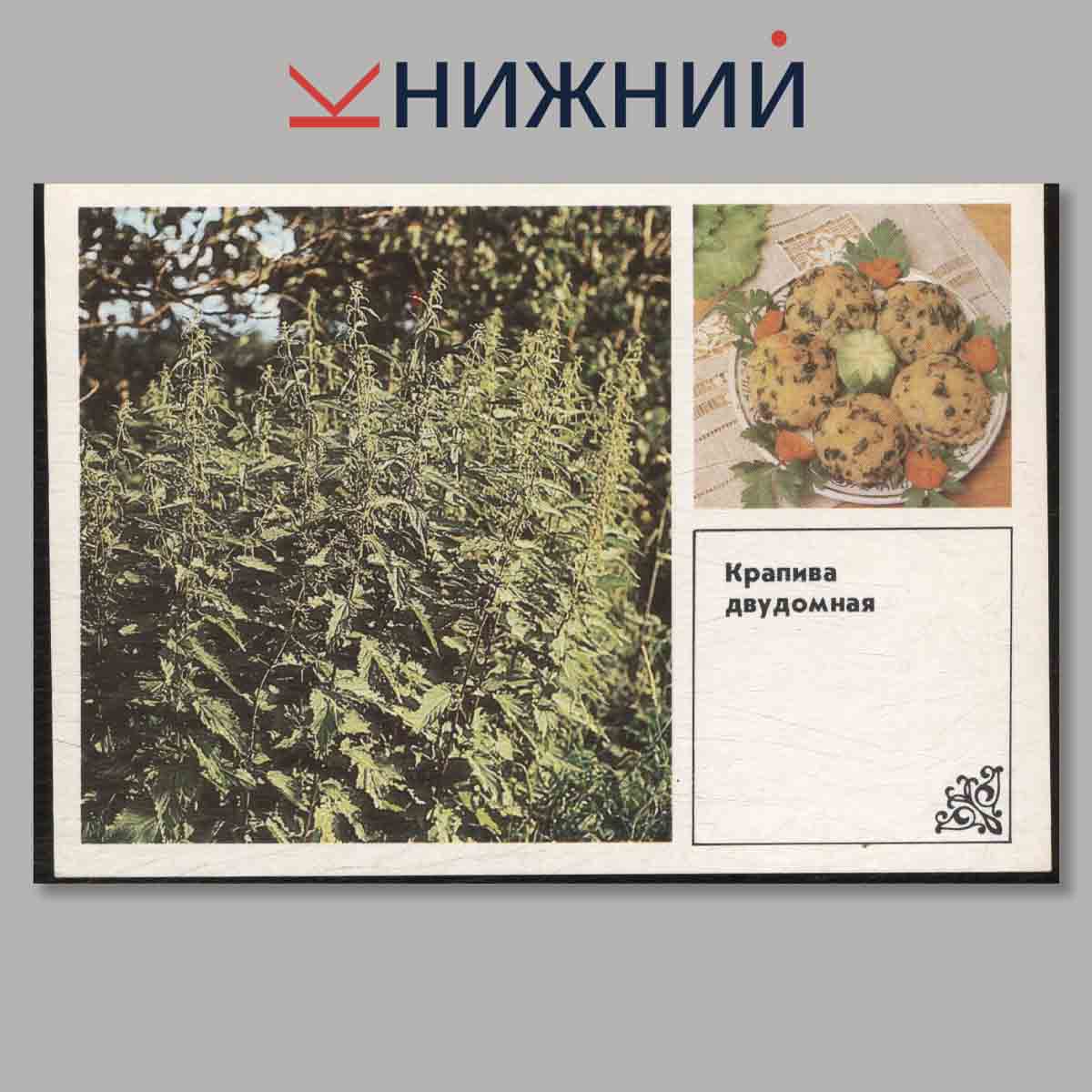 Набор открыток. Советы хозяйкам. Блюда из дикорастущих трав.