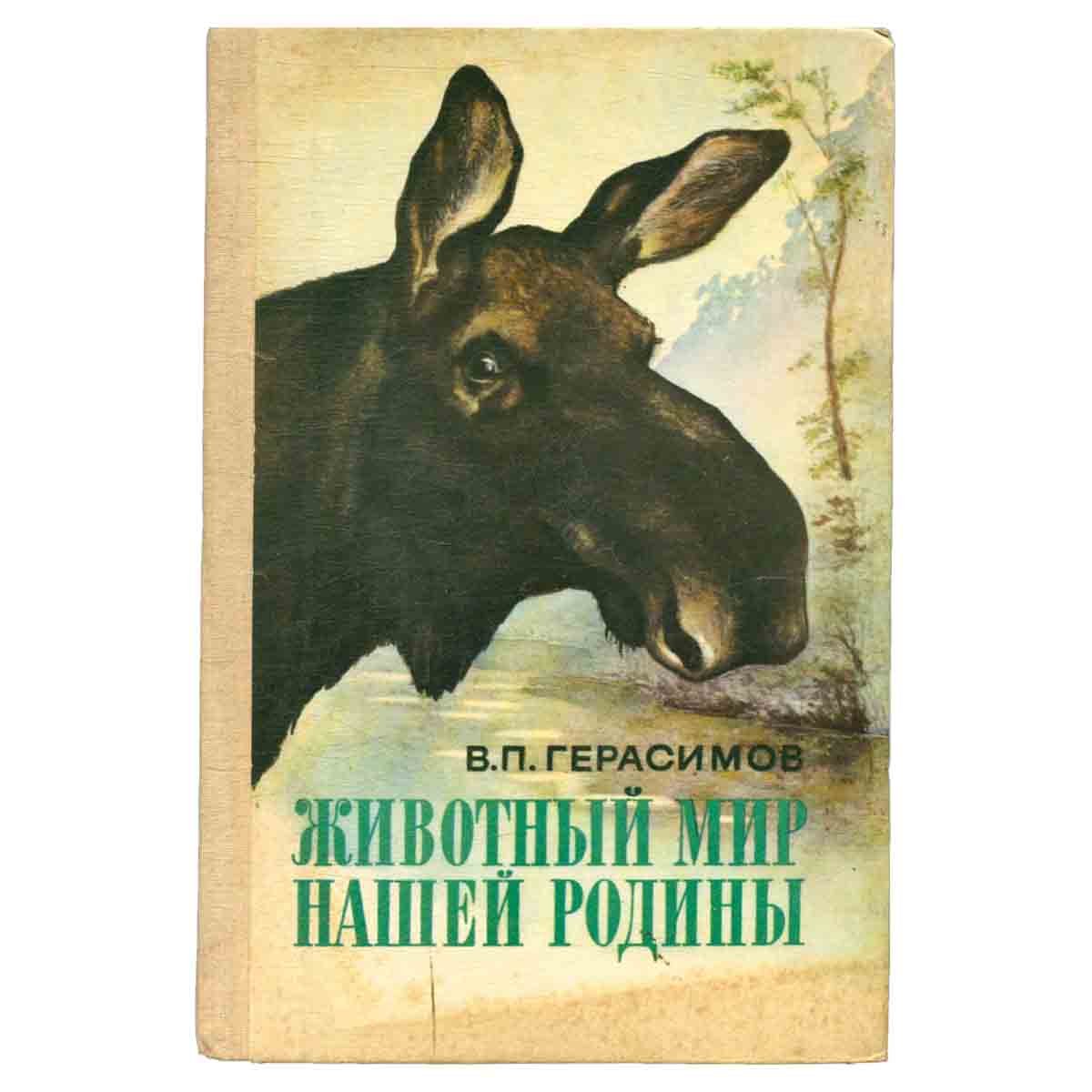 Животный мир нашей Родины