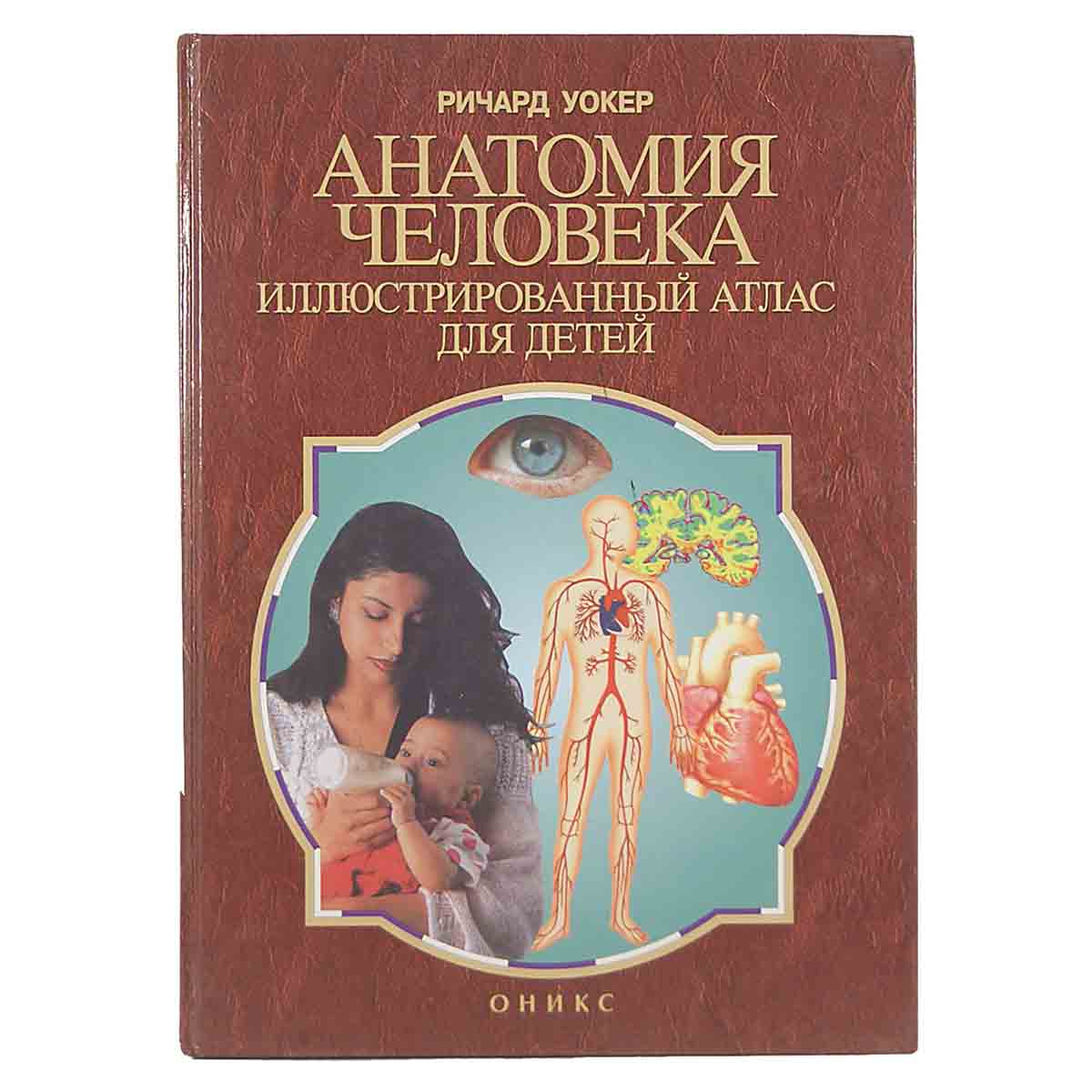 Анатомия человека. Иллюстрированный атлас для детей