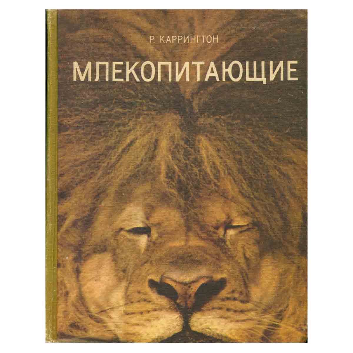 Млекопитающие