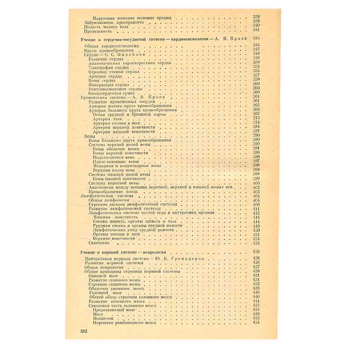 Анатомия человека