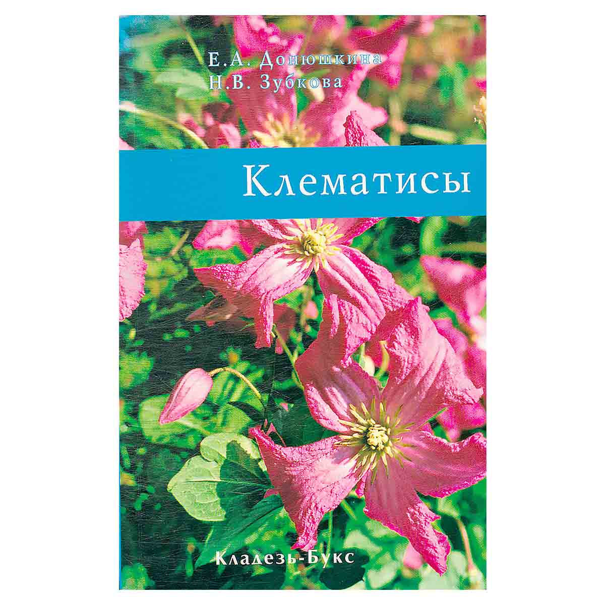 Клематисы