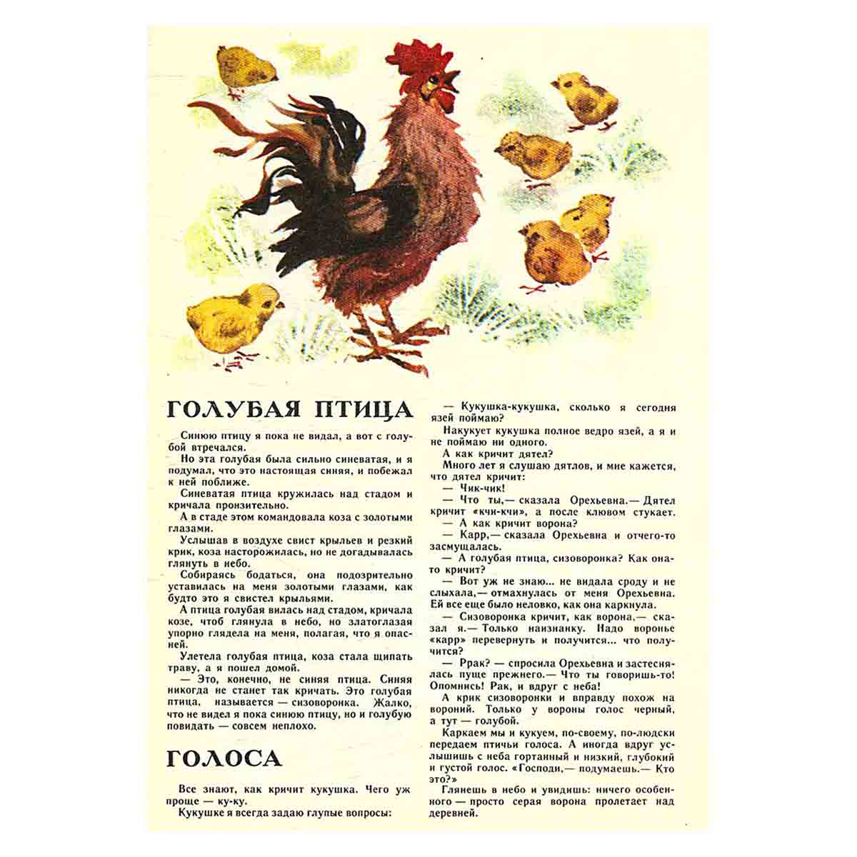 Журнал "Юный натуралист". Выпуск 7 1982 год