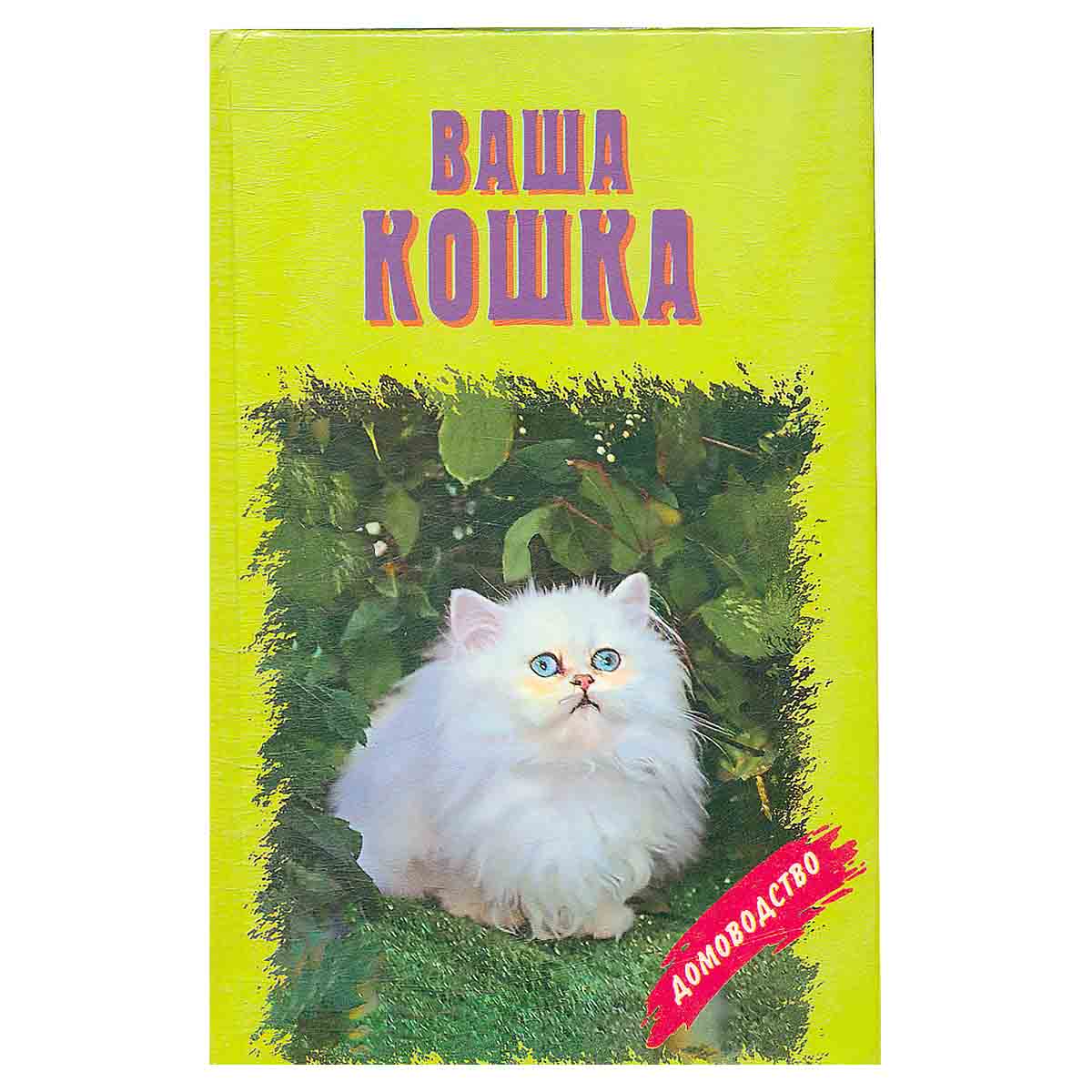 Ваша кошка