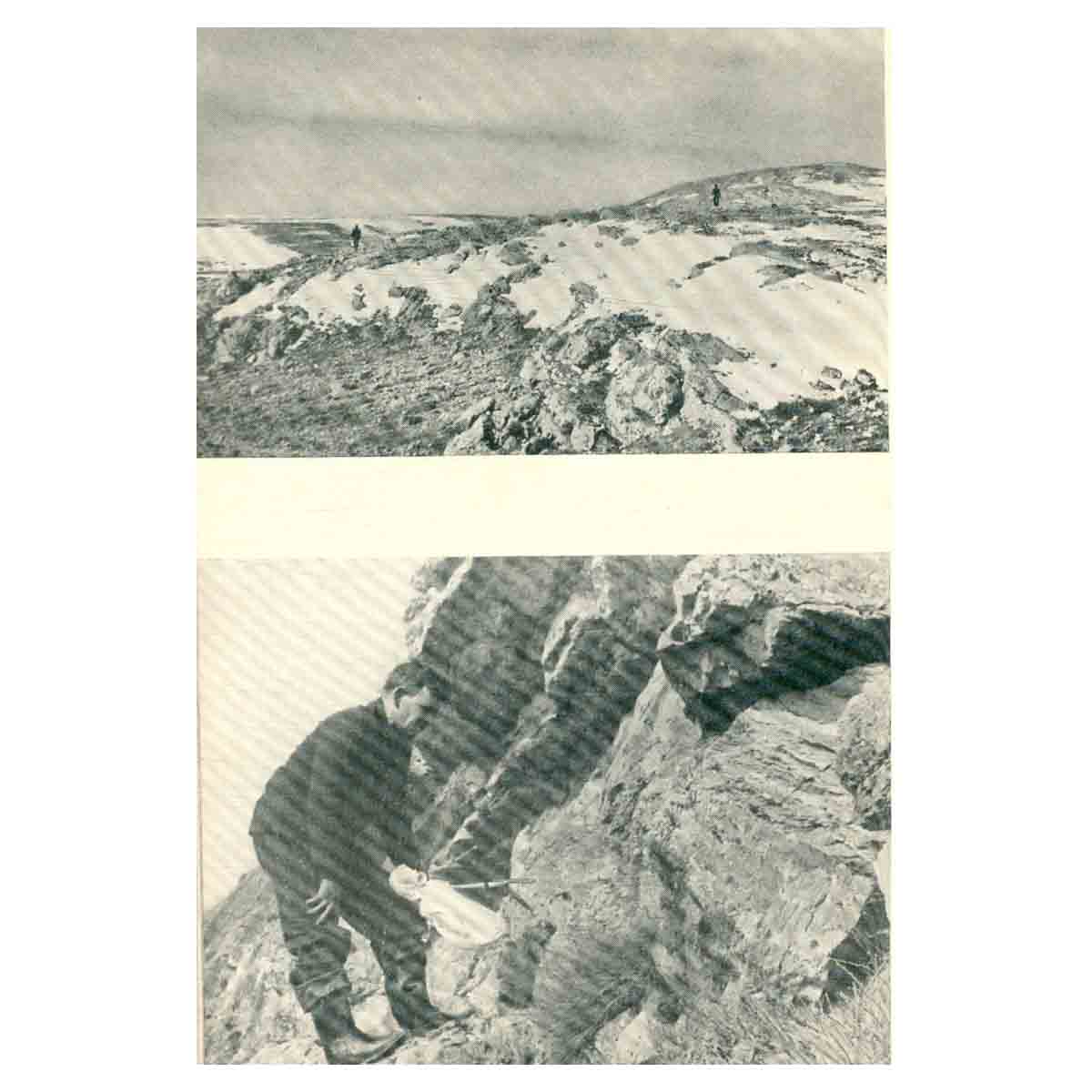 На суше и на море. 1973