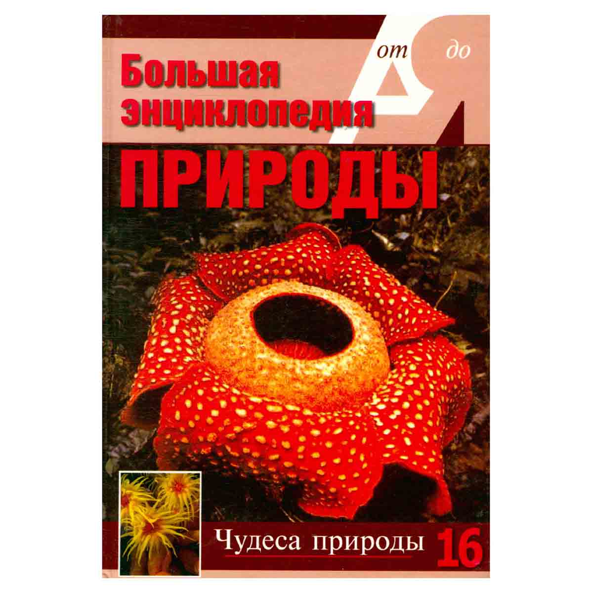 Большая энциклопедия природы. В 16 томах. Том 16. Чудеса природы
