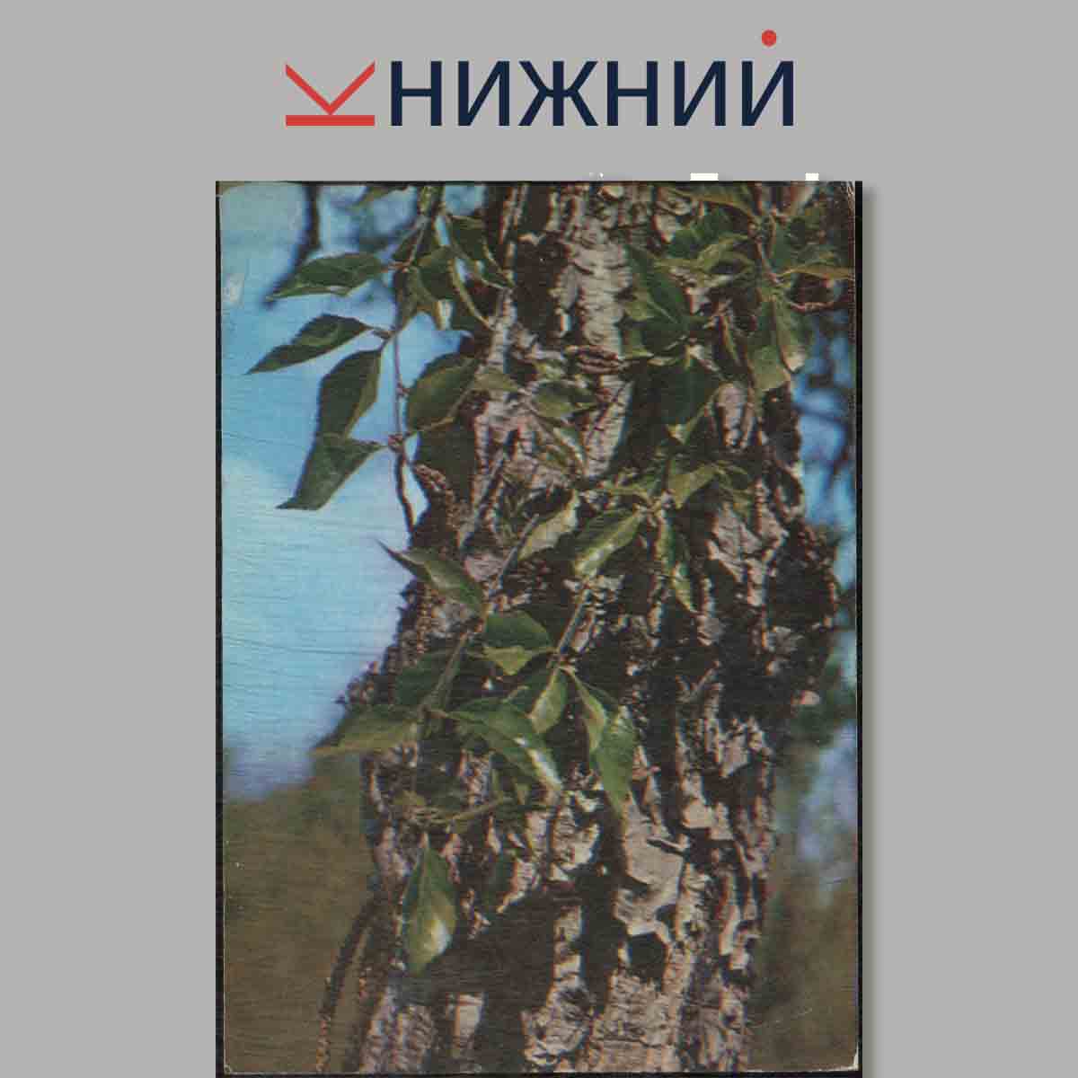 Набор открыток. Растения из "Красной книги СССР". Выпуск 1.