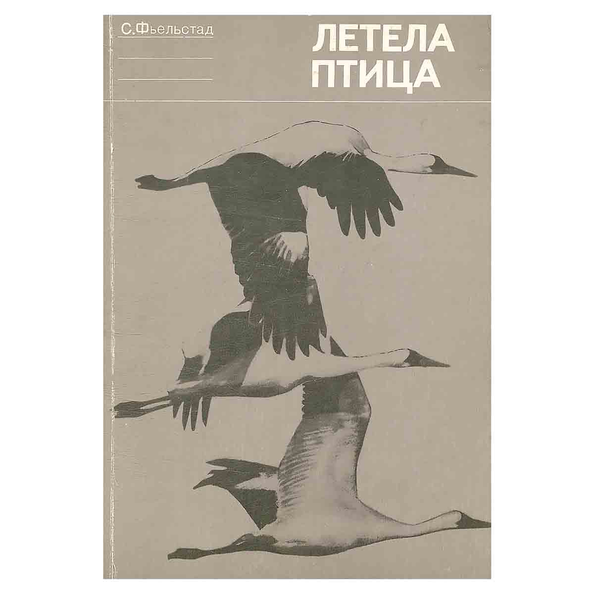 Летела птица