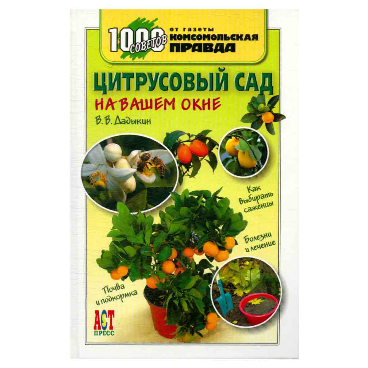 Цитрусовый сад на вашем окне